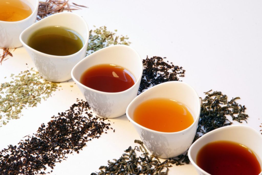 camellia sinensis